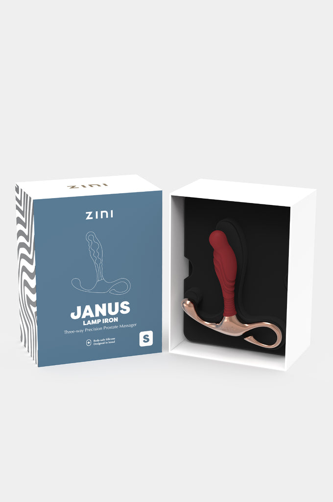 Janus Lamp Iron Package-2