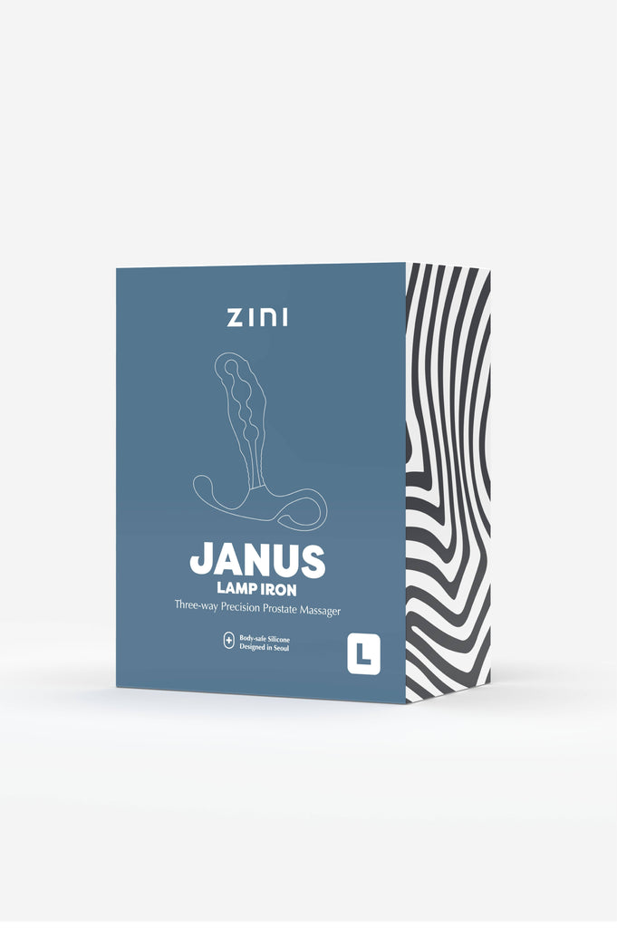 Janus Lamp Iron Package 4